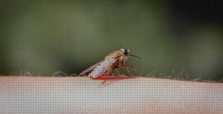 Los mejores 20 Anti Zancudos Sonidos Antimosquitos