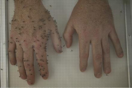 Review de los 37 mejores antimosquito deet bajo análisis
