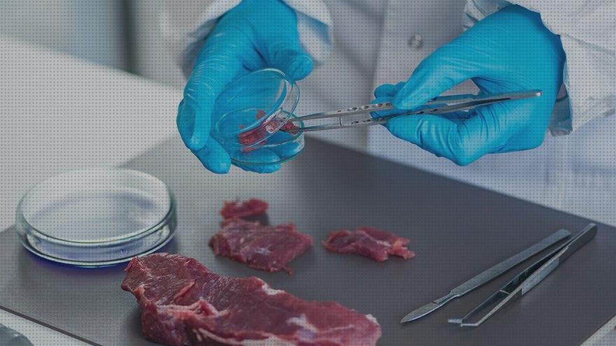 Review de antimosquitos alimentario