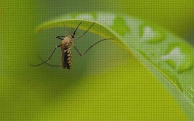 Los 28 Mejores antimosquitos diarios
