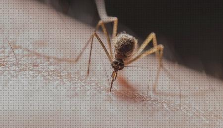 Los 19 Mejores antimosquitos dolby bajo análisis