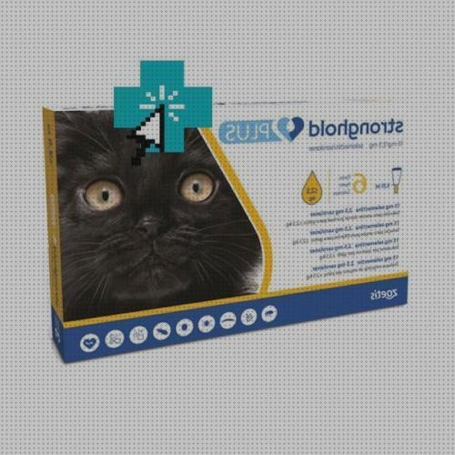 Las mejores antimosquitos gatos antimosquitos antimosquitos electrico gatos