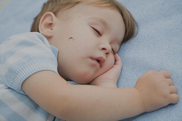 Las mejores enchufables antimosquitos Más sobre antimosquitos mechero Más sobre antimosquitos sonata antimosquitos enchufable y bebe