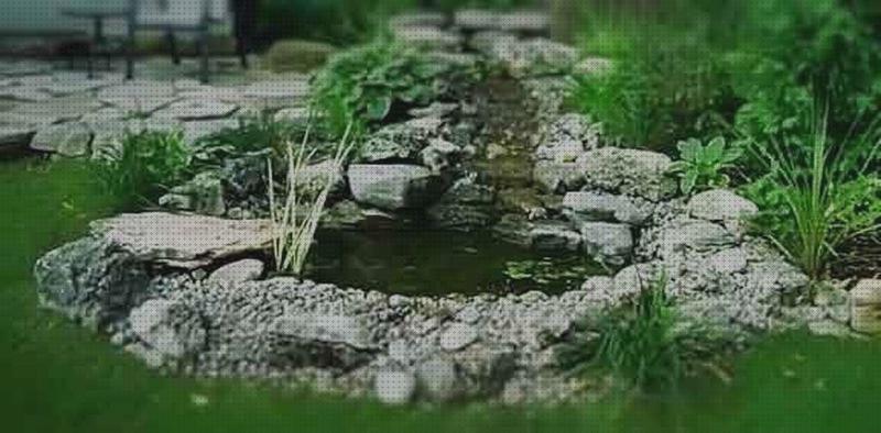 ¿Dónde poder comprar Más sobre antimosquitos mechero Más sobre antimosquitos sonata antimosquitos antimosquitos estanque?