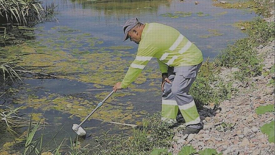 Las mejores marcas de Más sobre antimosquitos mechero Más sobre antimosquitos sonata antimosquitos antimosquitos estanque