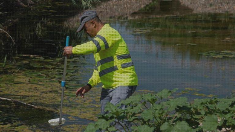 Las mejores Más sobre antimosquitos mechero Más sobre antimosquitos sonata antimosquitos antimosquitos estanque