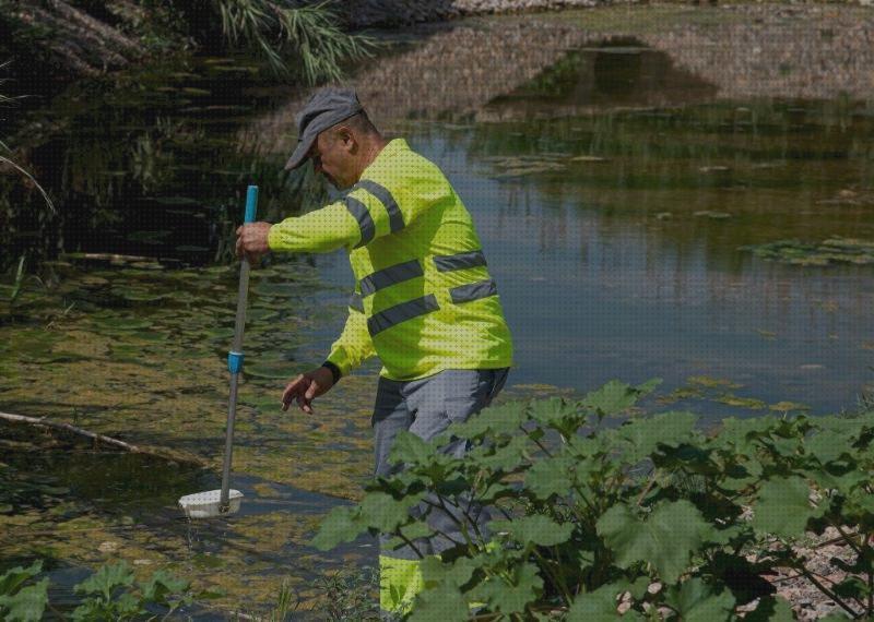 Review de antimosquitos estanque