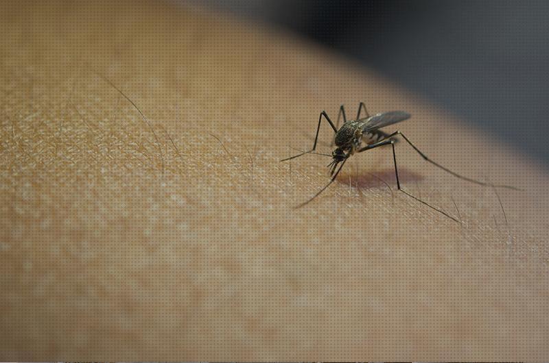 Mejores 21 antimosquitos farmacio