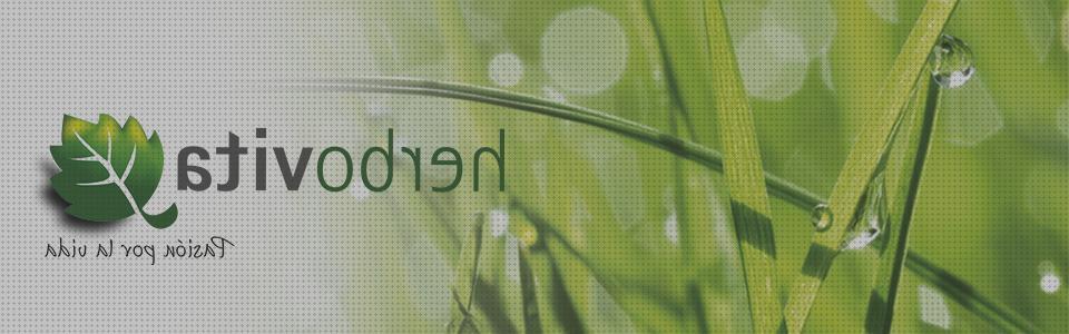¿Dónde poder comprar Más sobre tiamina antimosquitos Más sobre tiamina antimosquitos Más sobre hamkaw antimosquitos antimosquitos hipersol?