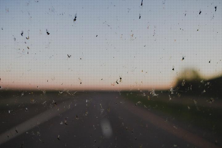 Los 22 Mejores Antimosquitos Lunas De Coches