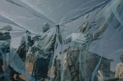 Las mejores Más sobre antimosquitos mechero Más sobre antimosquitos sonata antimosquitos antimosquitos malaria