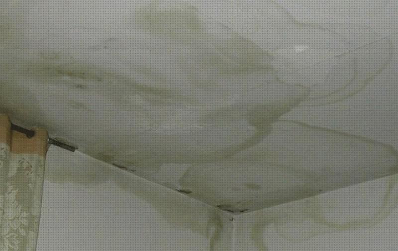¿Dónde poder comprar antimosquitos pared antimosquitos antimosquitos mancha paredes?