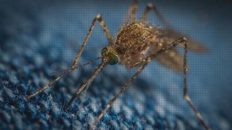 Análisis de los 26 mejores antimosquitos mosguard cremas