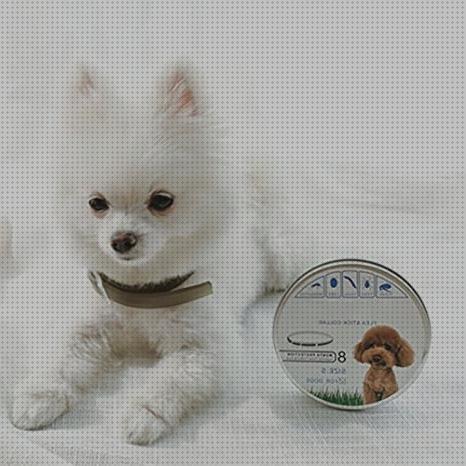 Opiniones de los 14 mejores Antimosquitos Para Perros Naturales