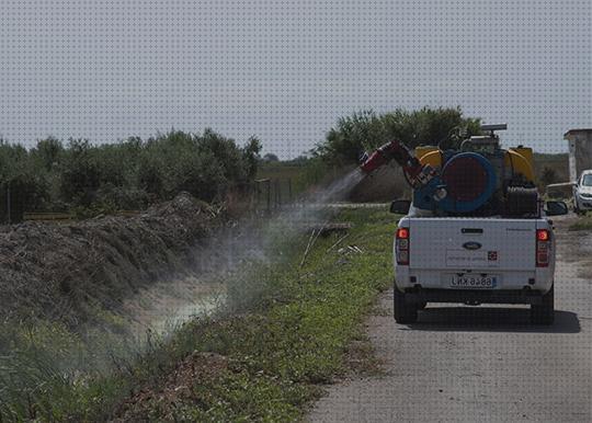 Las mejores Más sobre cortinacintas solapadas antimosquitos Más sobre metaltex red antimosquitos Más sobre pulsera antimosquitos ladybug antimosquitos que funcione
