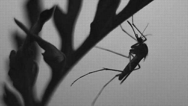 Review de antimosquitos teraza pared