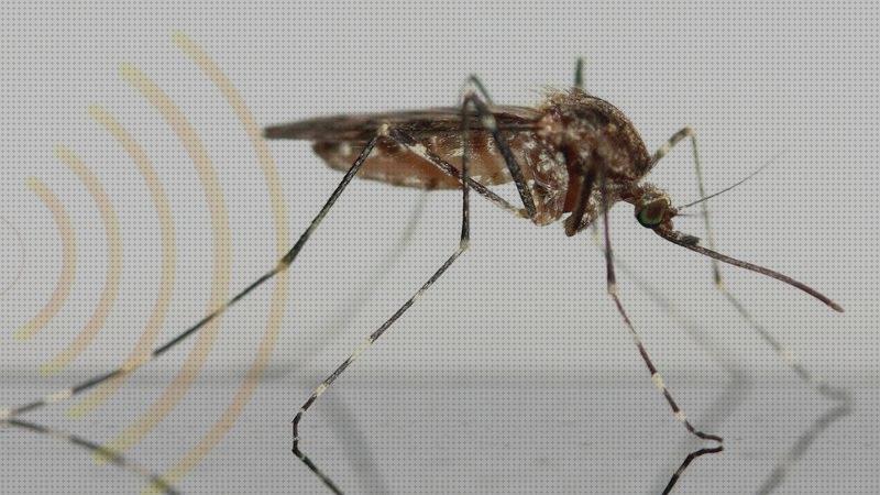 ¿Dónde poder comprar antimosquitos ultrasonido antimosquitos antimosquitos ultrasonidos lcarrefour?