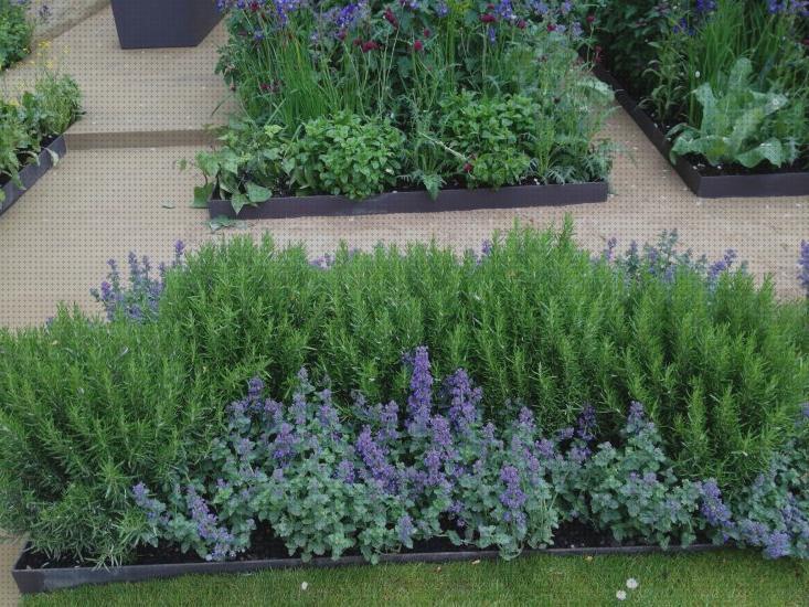 ¿Dónde poder comprar Más sobre tiamina antimosquitos Más sobre tiamina antimosquitos Más sobre hamkaw antimosquitos arbusto antimosquitos?