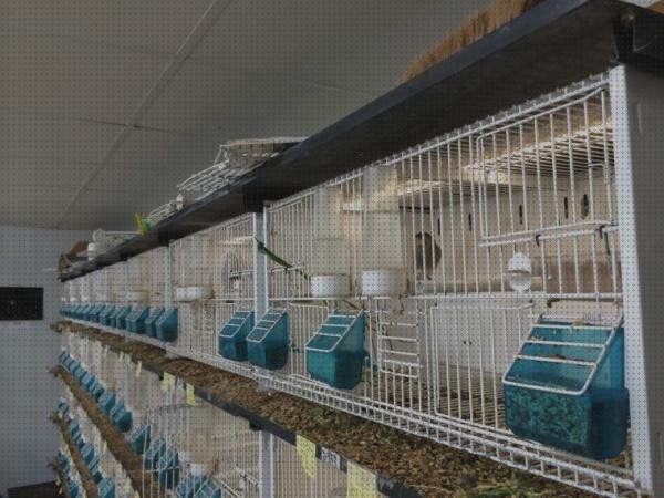 Las mejores marcas de led tiras led aviario tiras led