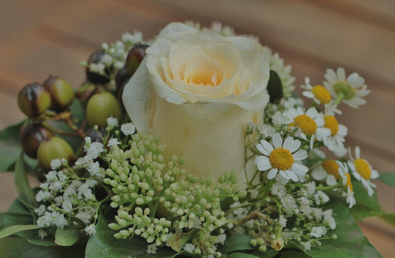 ¿Dónde poder comprar Más sobre antimosquitos lanta Más sobre antimosquitos mechero Más sobre antimosquitos sonata blum antimosquitos?