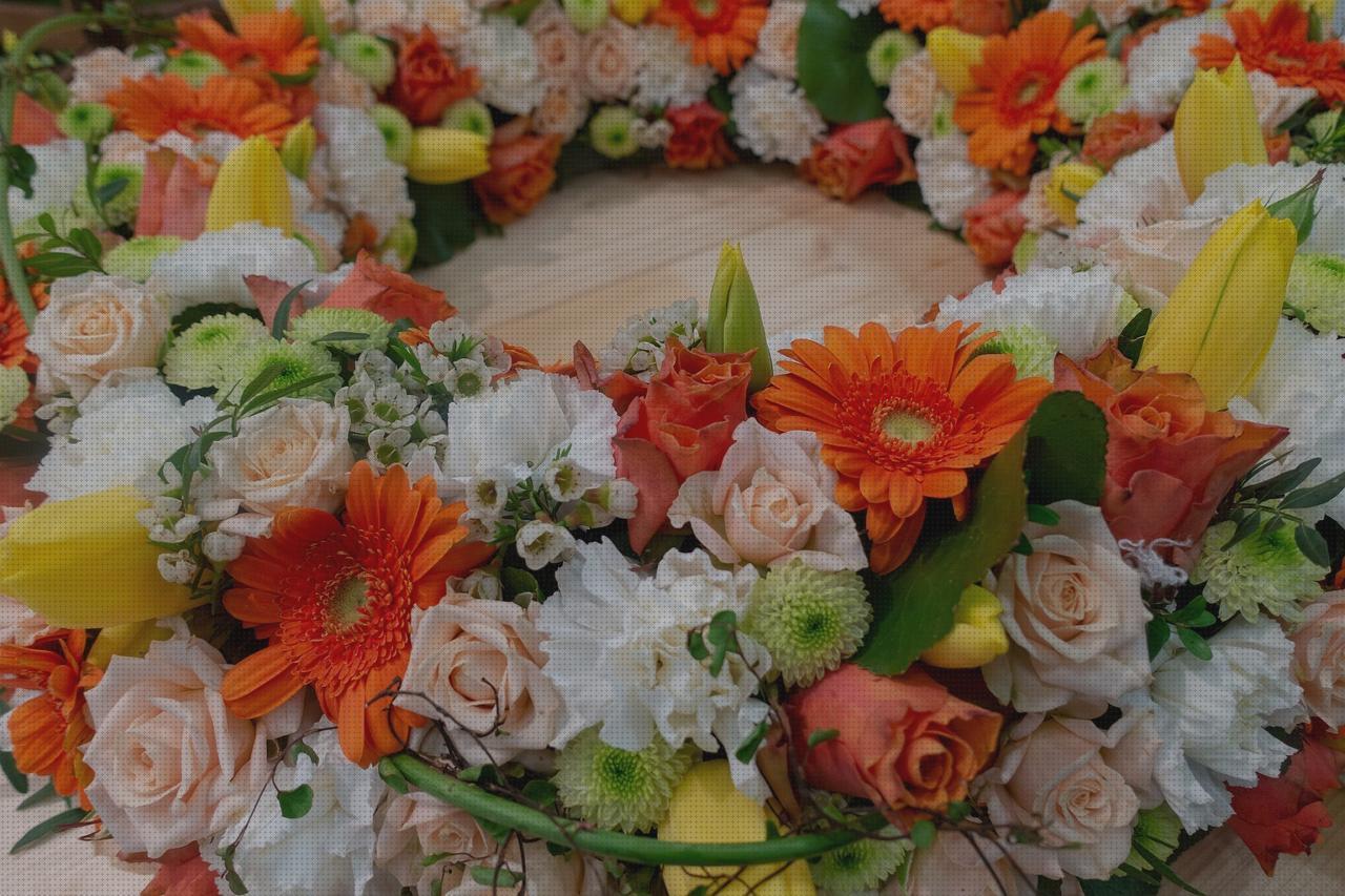 Las mejores marcas de Más sobre antimosquitos lanta Más sobre antimosquitos mechero Más sobre antimosquitos sonata blum antimosquitos