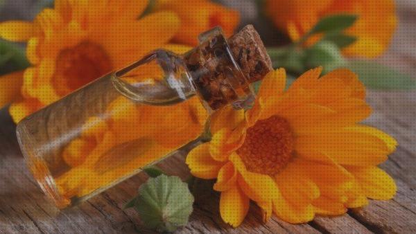Review de calendula antimosquitos