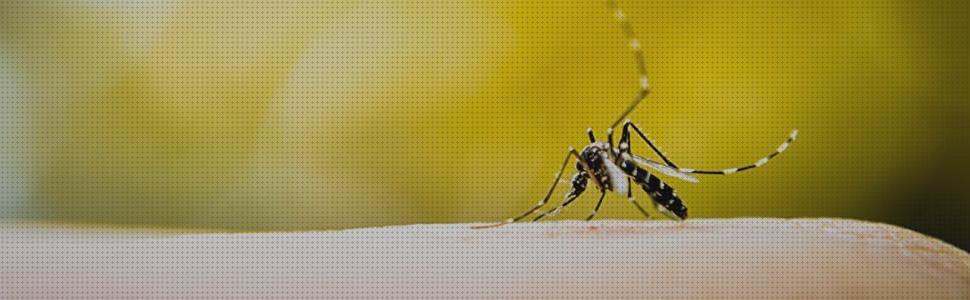 Los 40 Mejores ceet antimosquitos a la venta