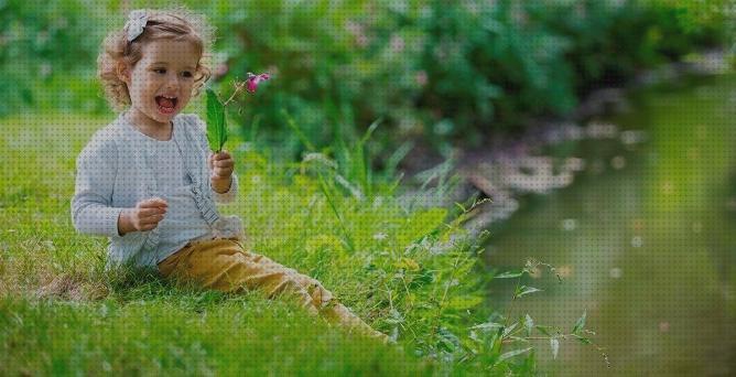 ¿Dónde poder comprar chicco antimosquitos antimosquitos chicco antimosquitos holas?