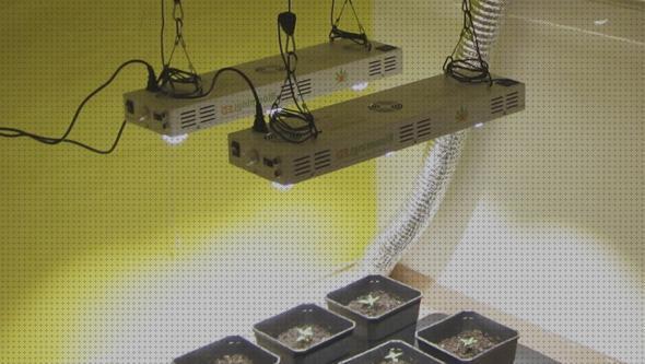Las mejores led cob led chip led cob cultivo