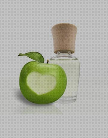 Las mejores marcas de lampara antimosquito citrionel antimosquito
