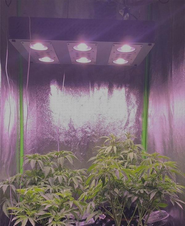 Los mejores 31 Cob Led Grow Lights