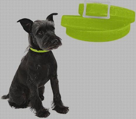 Las mejores marcas de lampara antimosquito collar antimosquito