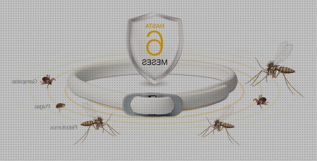 ¿Dónde poder comprar antimosquitos electrico perros Más sobre pulsera antimosquitos ladybug Más sobre tiamina antimosquitos collar antimosquitos cachorros?