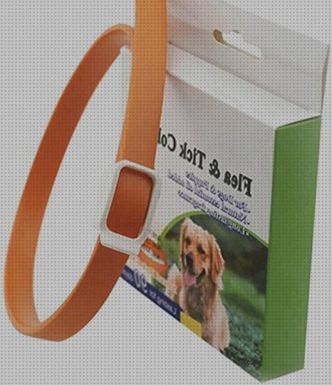 Las mejores marcas de antimosquitos electrico perros Más sobre pulsera antimosquitos ladybug Más sobre tiamina antimosquitos collar antimosquitos cachorros