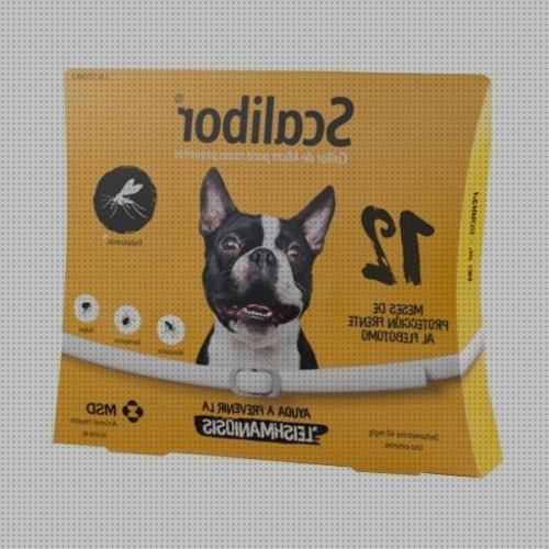 Las mejores antimosquitos electrico perros Más sobre pulsera antimosquitos ladybug Más sobre tiamina antimosquitos collar antimosquitos cachorros
