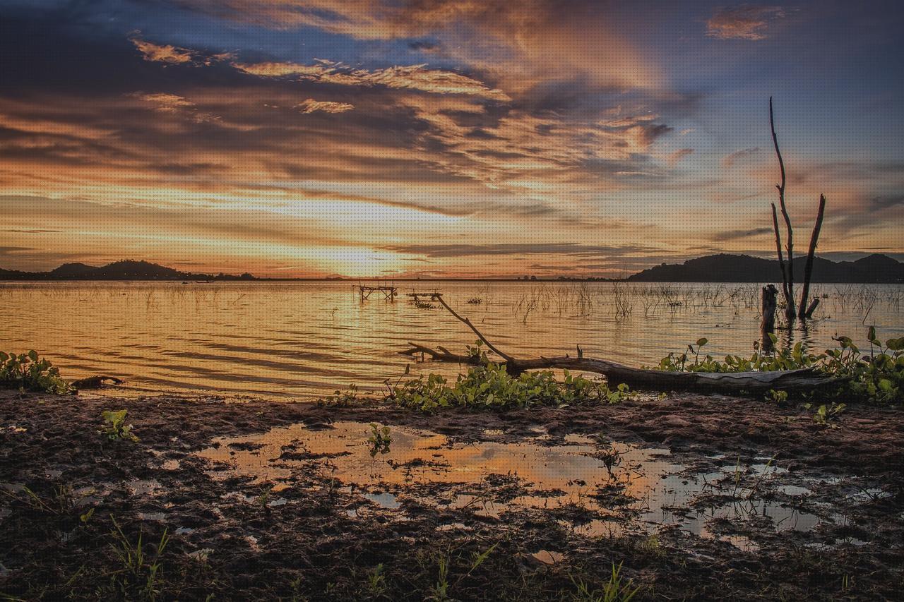 Las mejores marcas de Más sobre lampara isebie Más sobre lampara dyson Más sobre linterna spetton could lampara