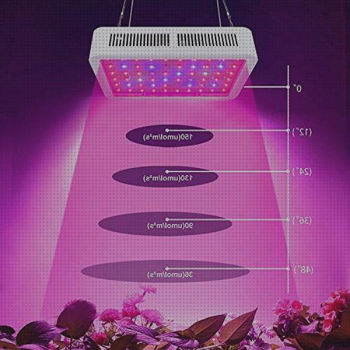 Los mejores 10 Cultivos Con 3 Lamparas Led De 300w