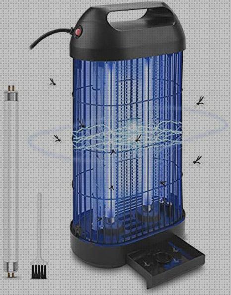 Las mejores Más sobre tiamina antimosquitos Más sobre tiamina antimosquitos Más sobre tiamina antimosquitos encgufe antimosquitos