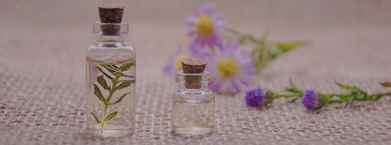 Análisis de las 17 mejores Esencias De Aceites Antimosquitos