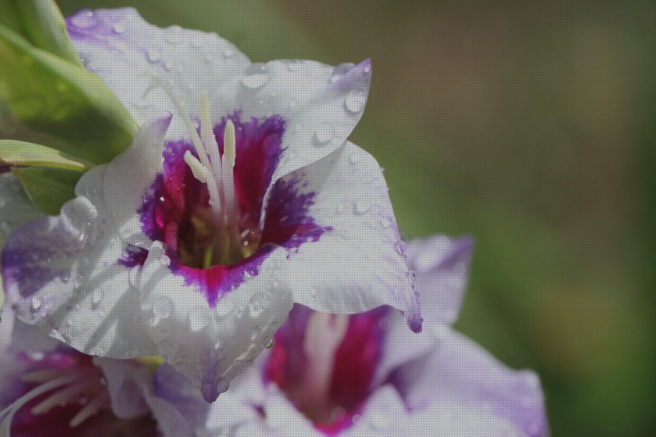 Las mejores marcas de led baratos led florescente led baratos