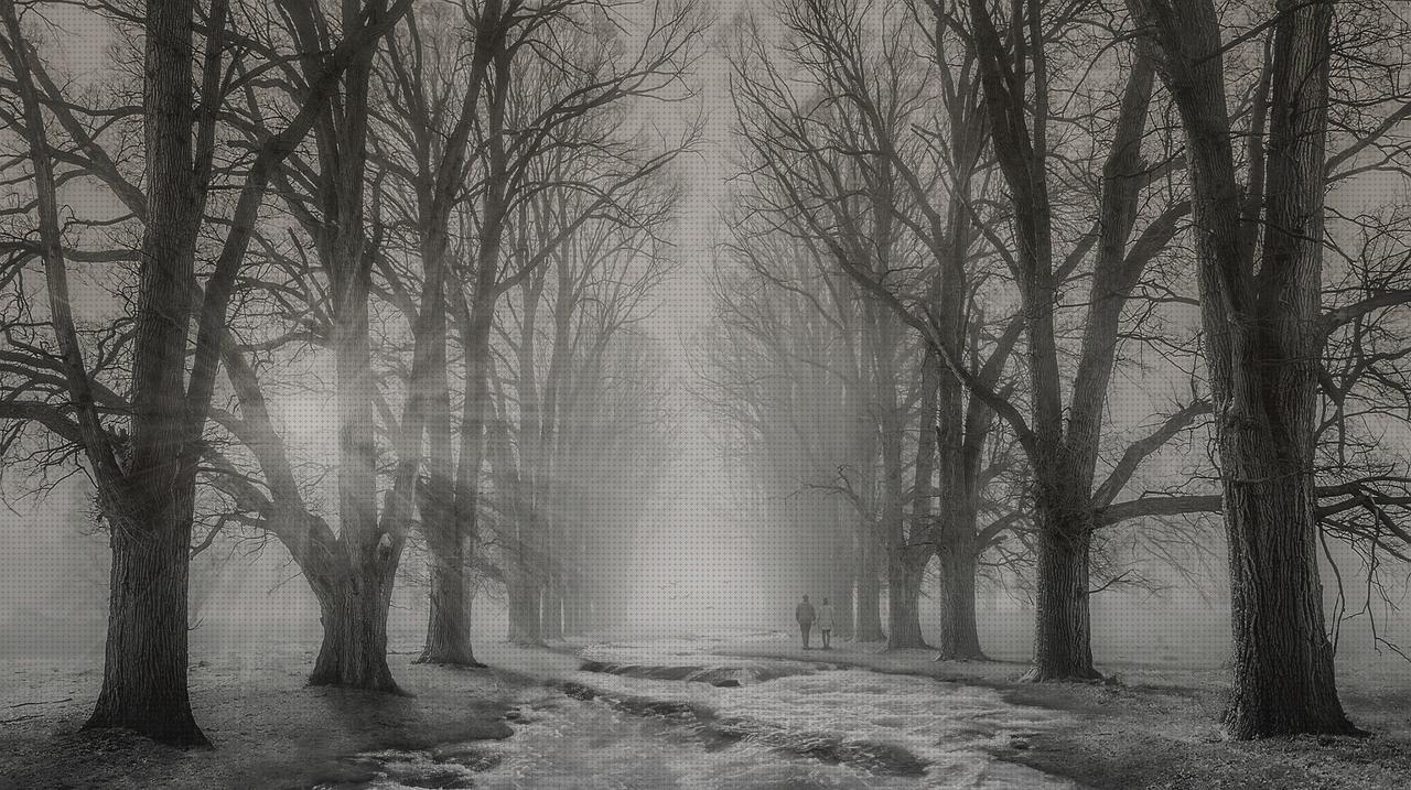 Las mejores antimosquitos fogo antimosquitos fogo antimosquitos embarazo