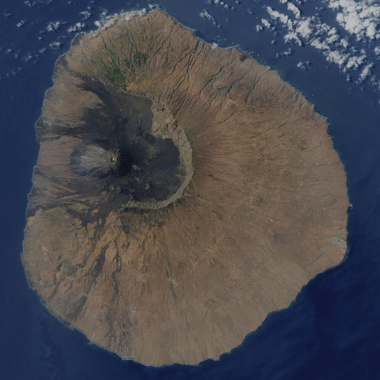 Los 23 Mejores fogo antimosquitos embarazos