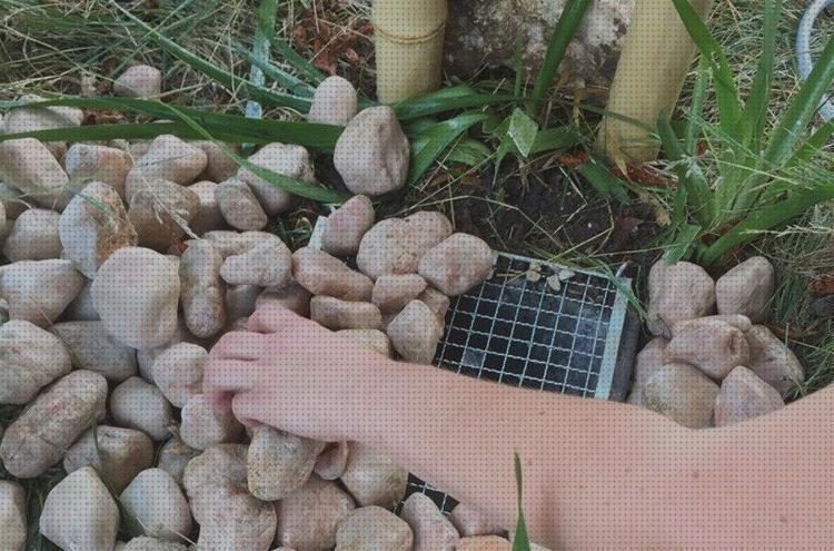Review de fuente jardin antimosquitos