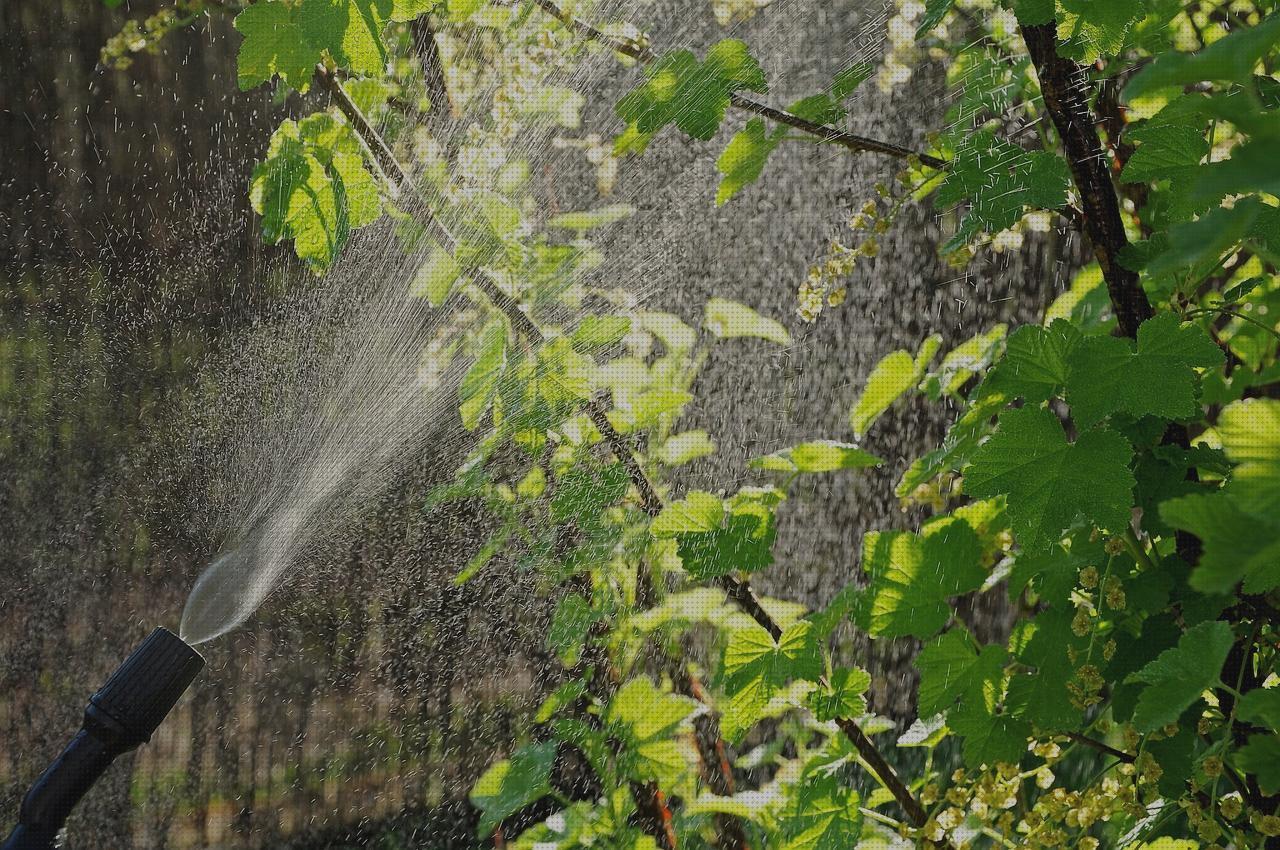 Review de fumigación antimosquitos
