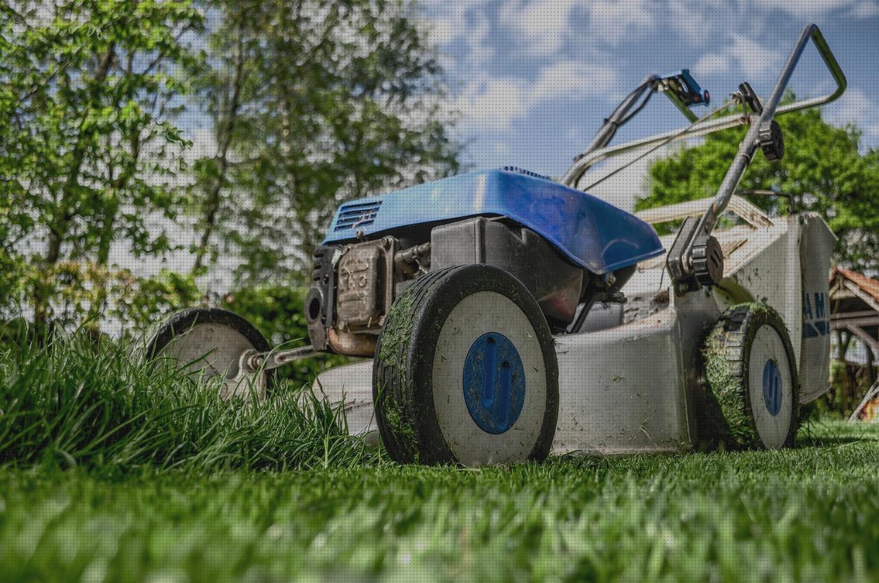 ¿Dónde poder comprar Más sobre antimosquitos lanta Más sobre antimosquitos mechero Más sobre antimosquitos sonata jardinera antimosquitos?