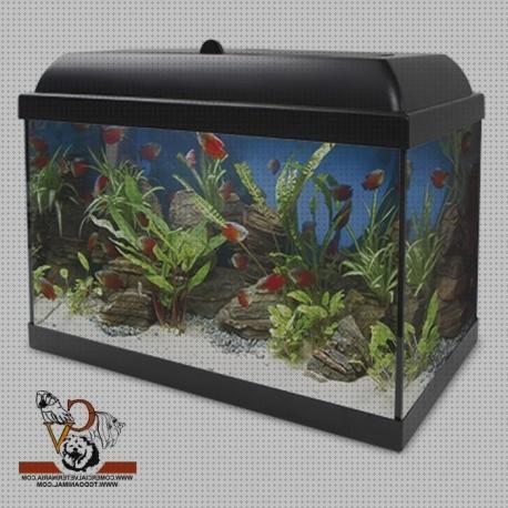 Los 14 Mejores Kit Acuarios Aqua Led 45