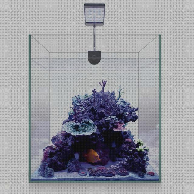 ¿Dónde poder comprar kit led led kit completo nano acuario marino coral led?