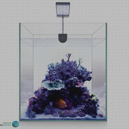 Review de kit completo nano acuario marino coral led