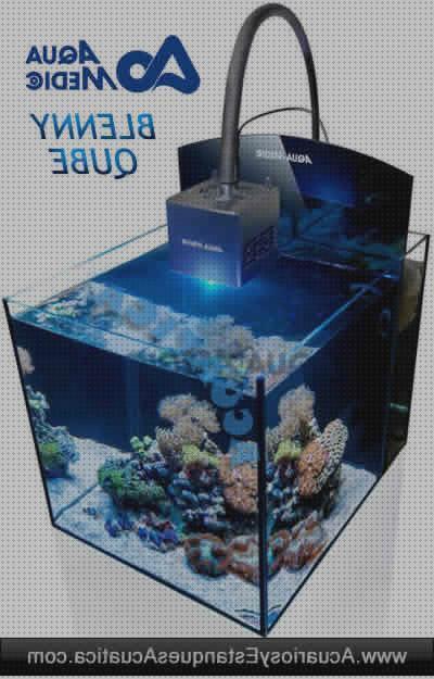 Análisis de los 19 mejores Kit Completos Nano Acuarios Marinos Corales Led