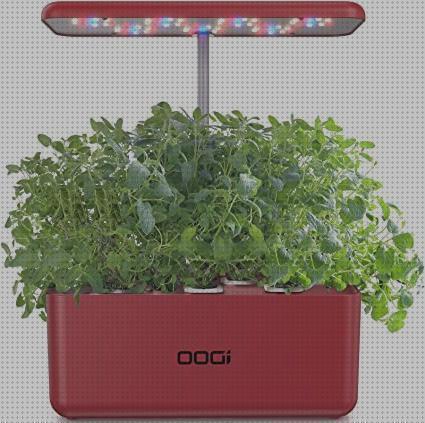 Las mejores marcas de kit led led kit de cultivo con luz led